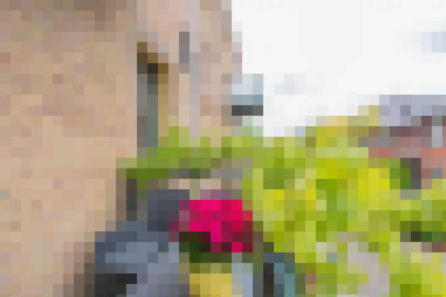 Driehuizenpark 35 Lisse thumbnail 8