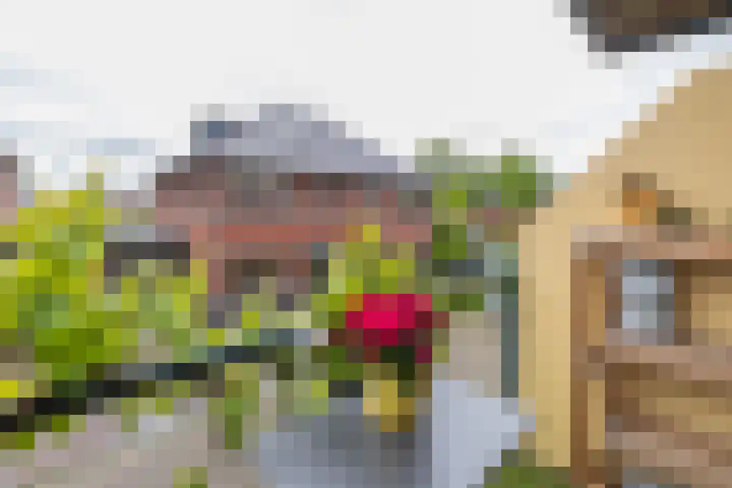 Driehuizenpark 35 Lisse thumbnail 9