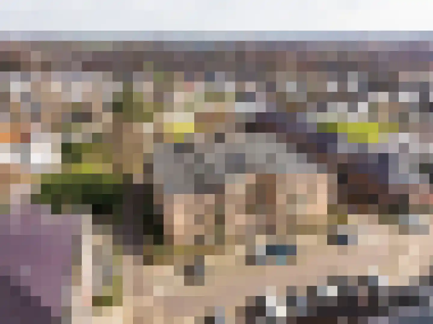 Driehuizenpark 41 Lisse thumbnail 33