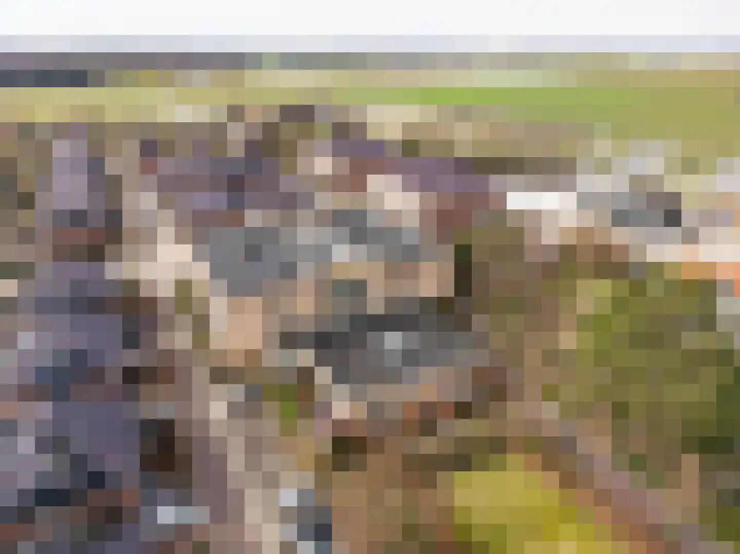 Driehuizenpark 41 Lisse thumbnail 34