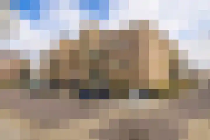 Driehuizenpark 41 Lisse thumbnail 7