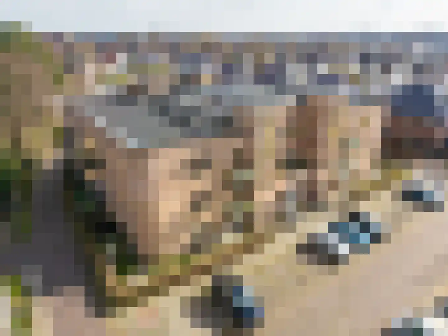 Driehuizenpark 41 Lisse thumbnail 9