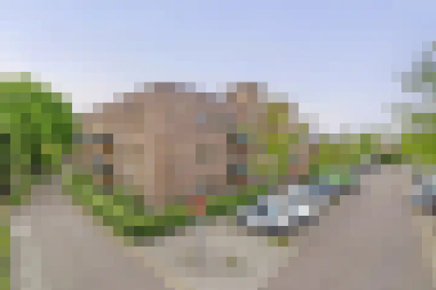 Driehuizenpark 43 Lisse thumbnail 35