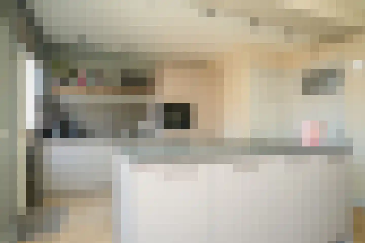 Driehuizenstraat 9 Alphen thumbnail 18