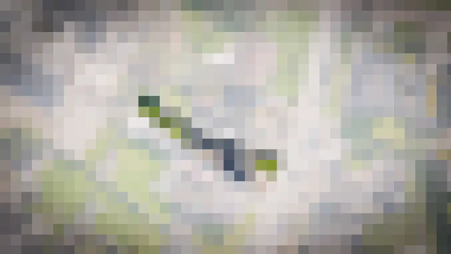 Driehuizenstraat 9 Alphen thumbnail 27