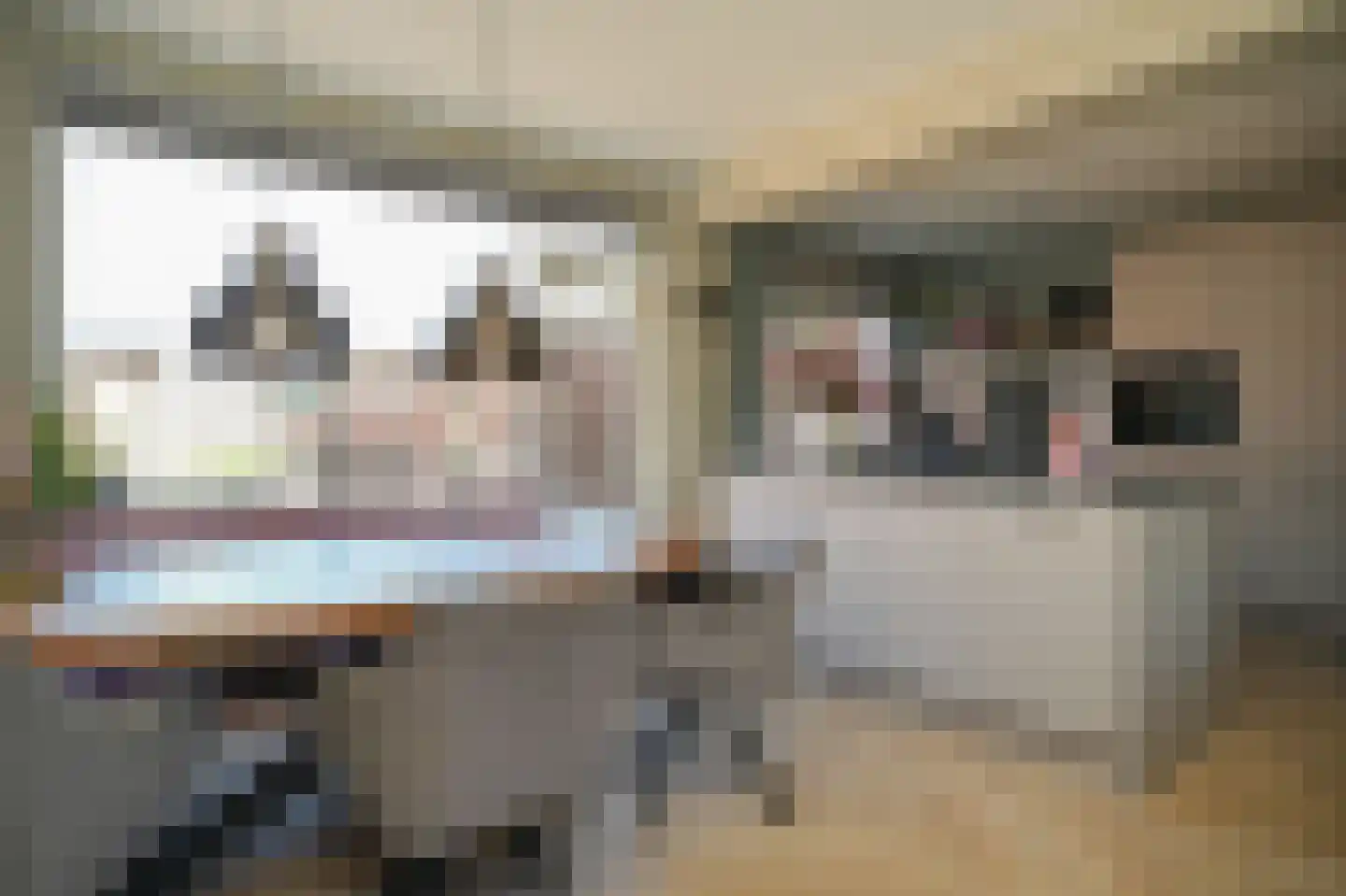 Driehuizenstraat 9 Alphen thumbnail 4