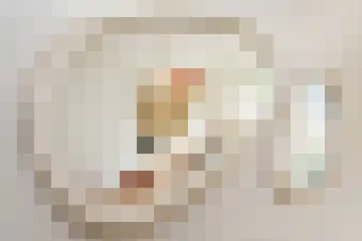 Driehuizerkerkweg 103 A Driehuis NH thumbnail 15