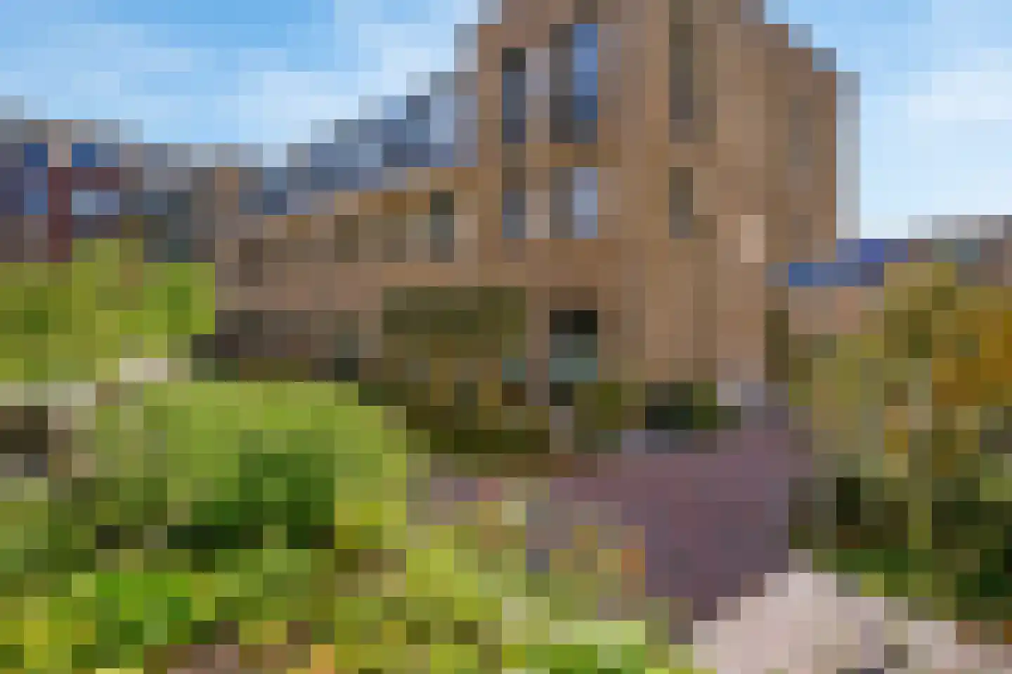Driehuizerkerkweg 151 Driehuis NH thumbnail 42