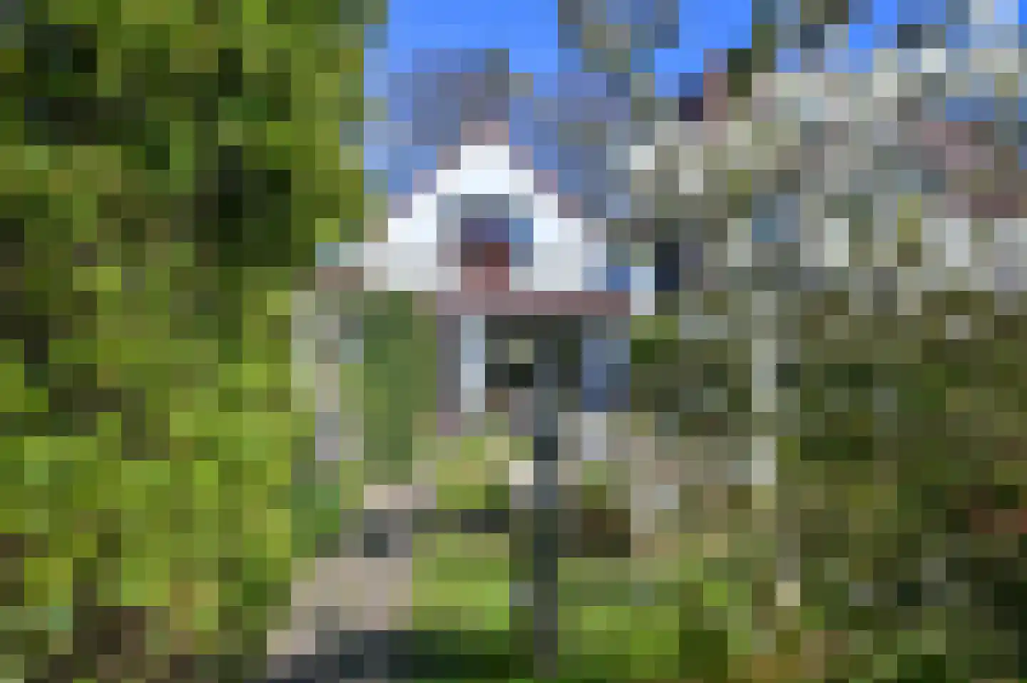 Driehuizerkerkweg 170 Driehuis NH thumbnail 40