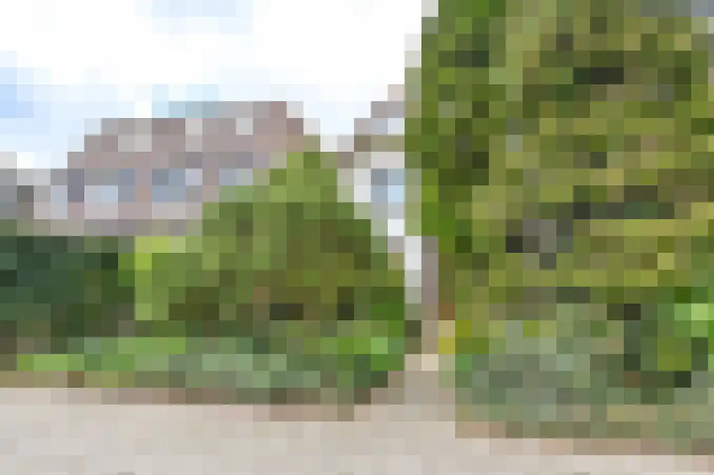 Driehuizerkerkweg 170 Driehuis NH thumbnail 56