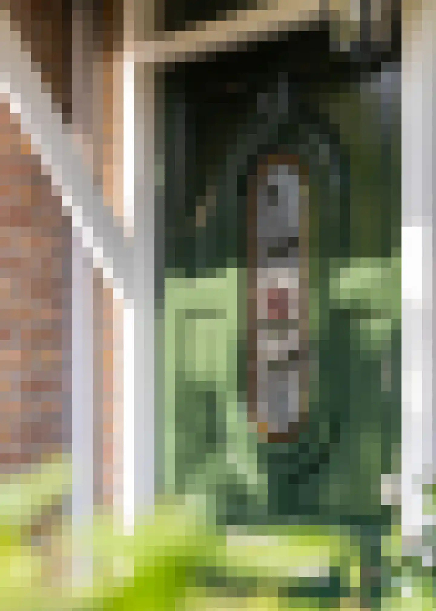 Driehuizerkerkweg 184 Driehuis NH thumbnail 7
