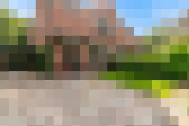 Driehuizerkerkweg 33 Driehuis NH thumbnail 4
