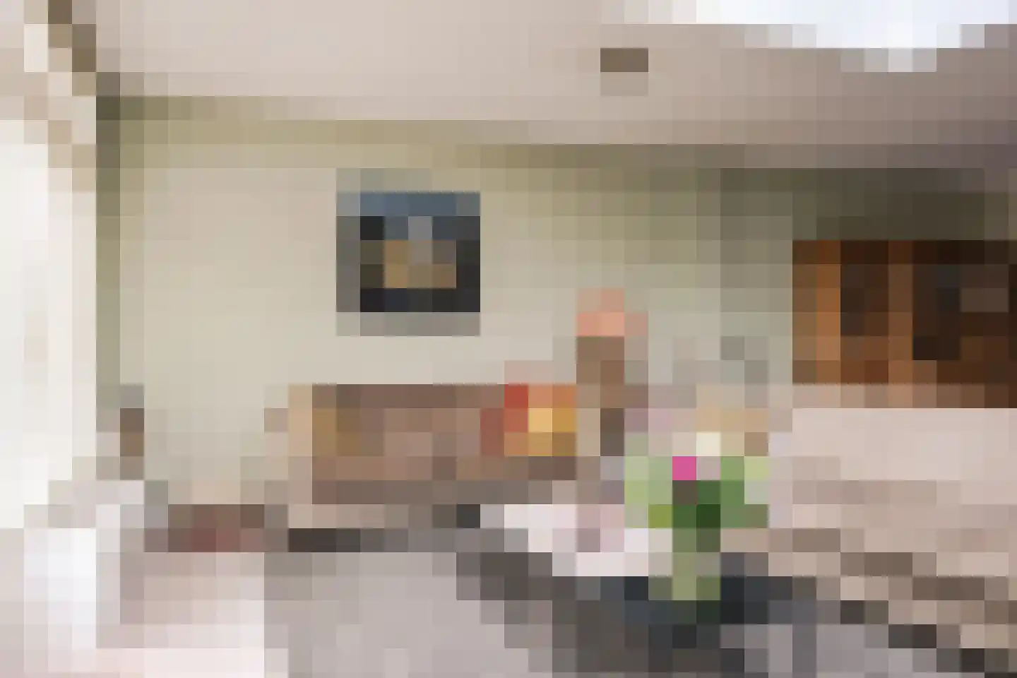Driehuizerkerkweg 38 Driehuis NH thumbnail 7
