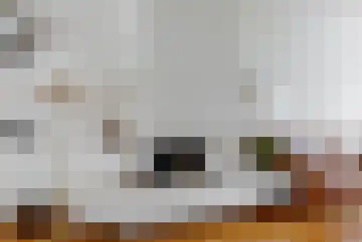 Driehuizerkerkweg 45 Driehuis NH thumbnail 13