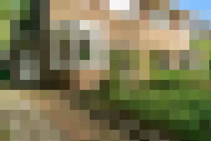 Driehuizerkerkweg 45 Driehuis NH thumbnail 5