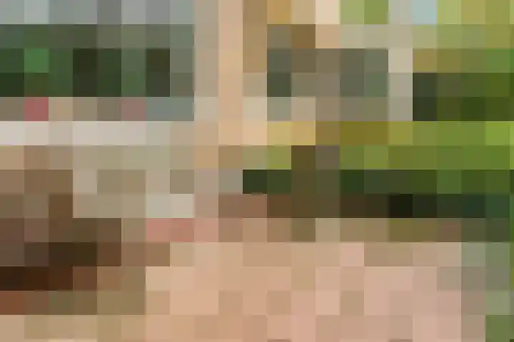 Driehuizerkerkweg 45 Driehuis NH thumbnail 7