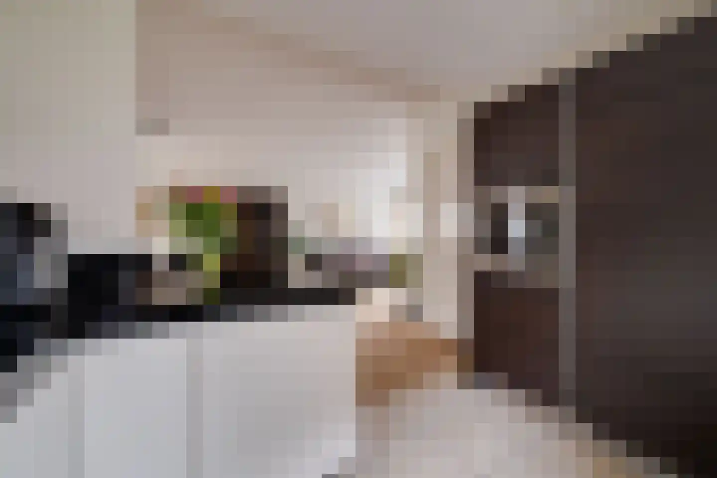 Driehuizerweg 10 Apeldoorn thumbnail 13