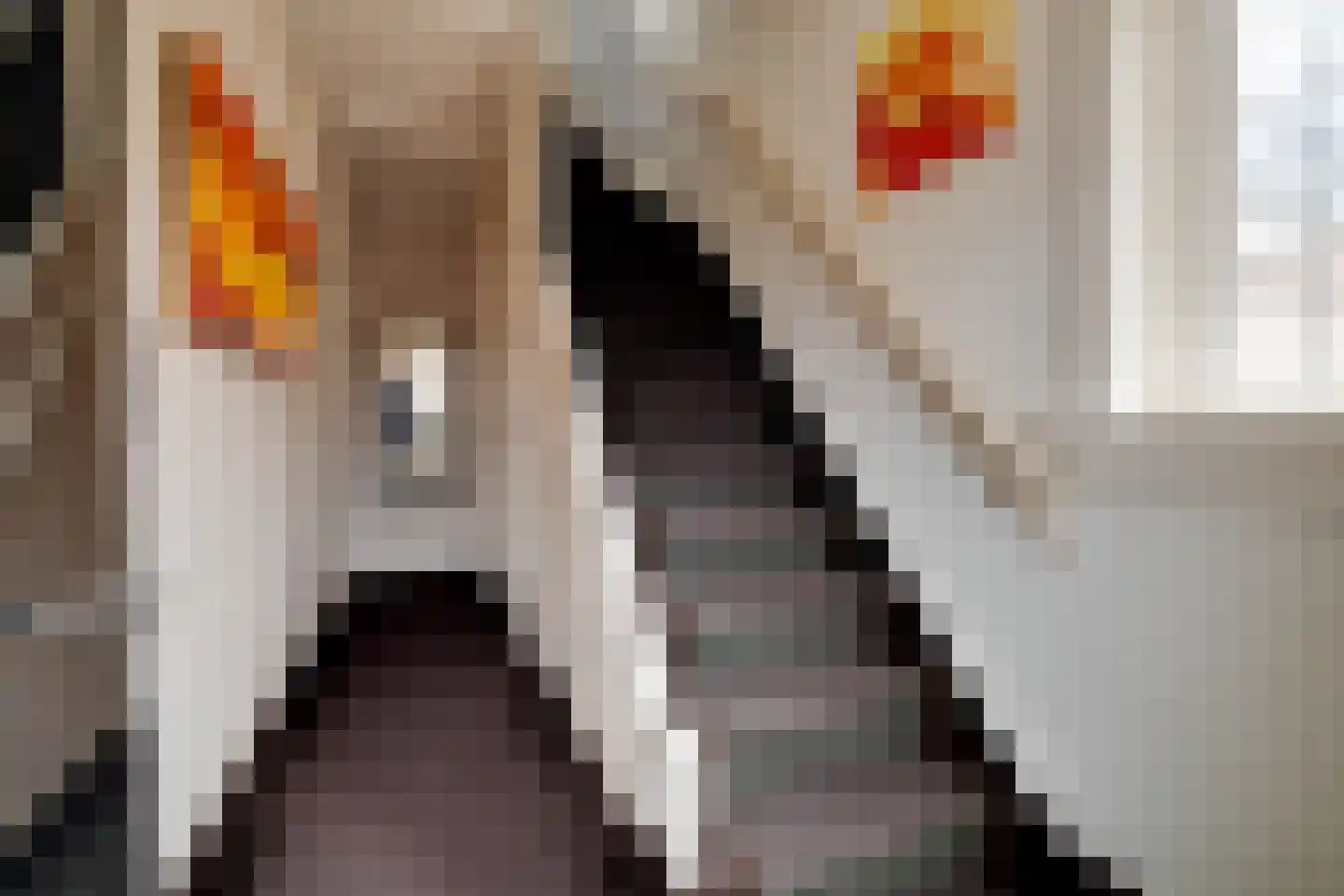 Driehuizerweg 10 Apeldoorn thumbnail 17