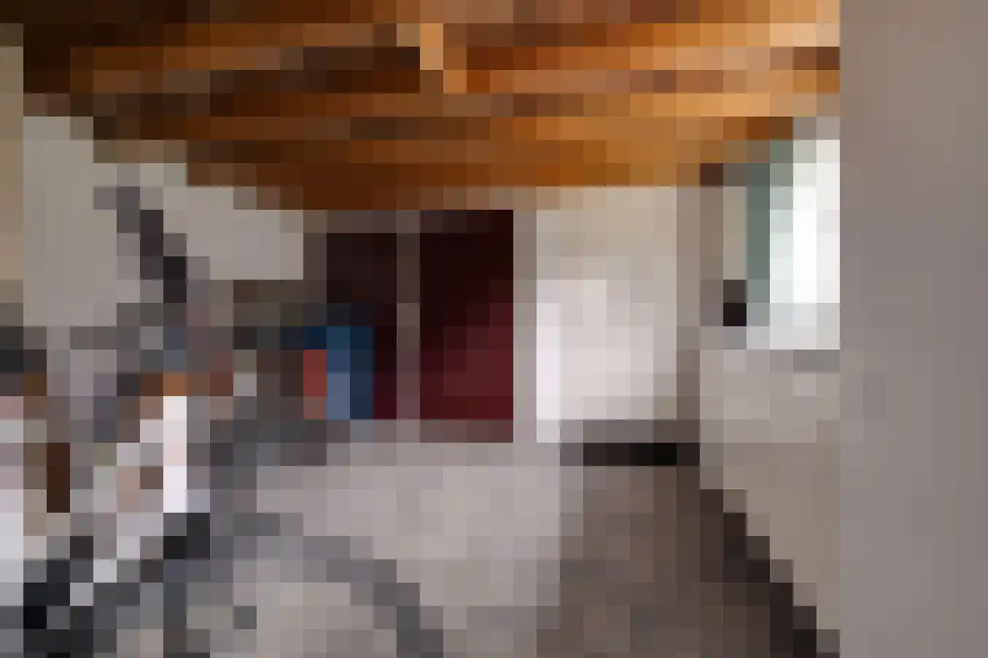 Driehuizerweg 10 Apeldoorn thumbnail 31