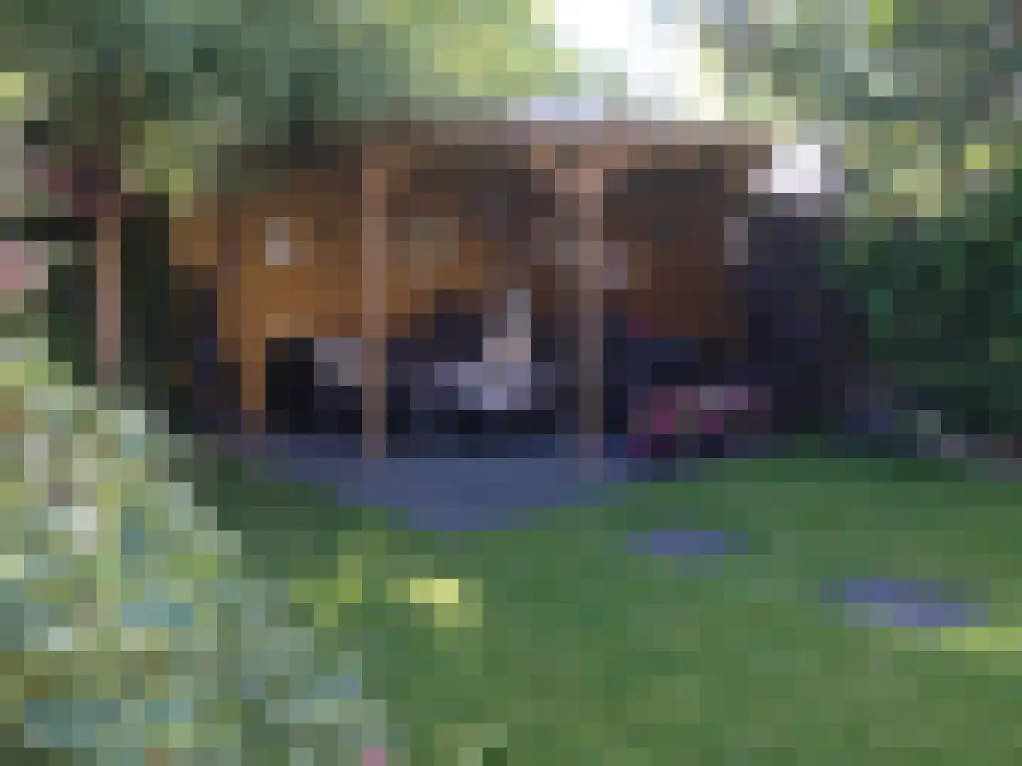 Driehuizerweg 10 Apeldoorn thumbnail 34