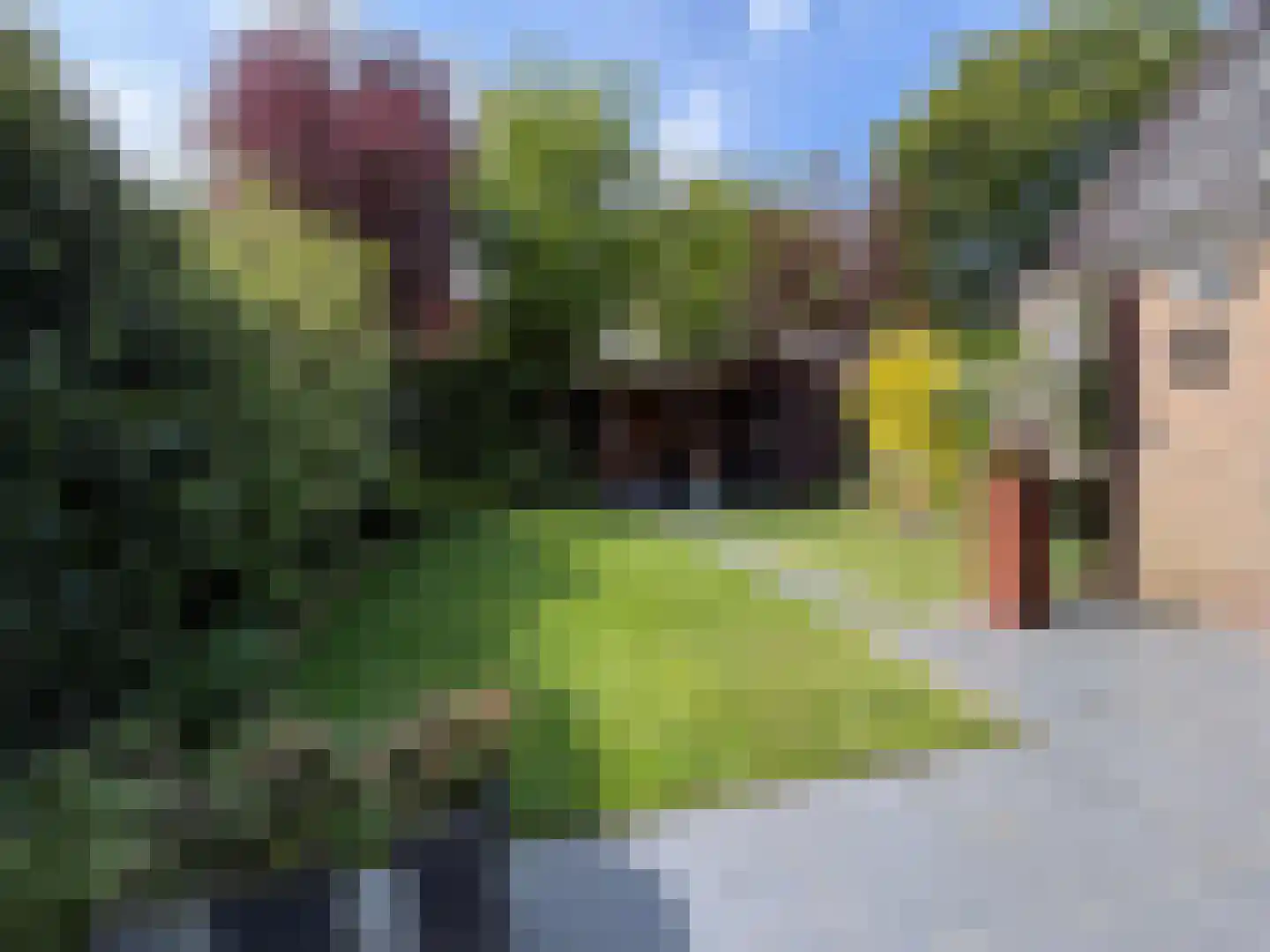 Driehuizerweg 10 Apeldoorn thumbnail 35