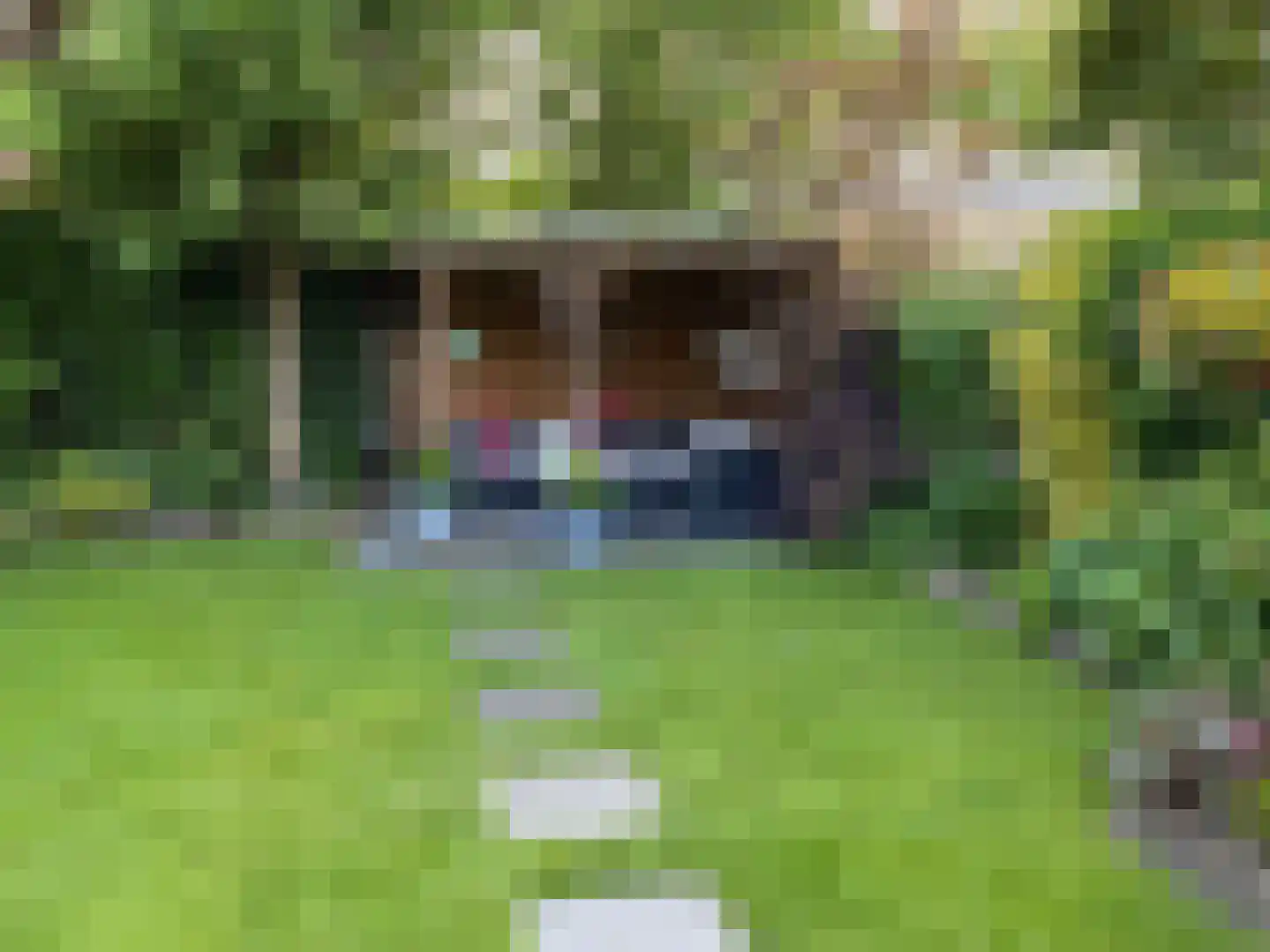 Driehuizerweg 10 Apeldoorn thumbnail 36