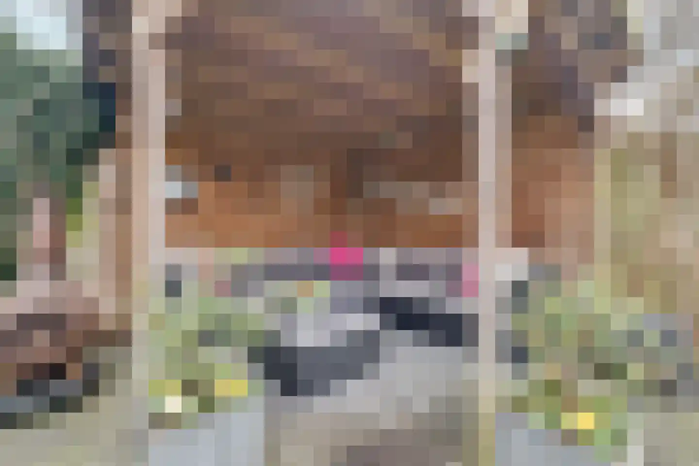 Driehuizerweg 10 Apeldoorn thumbnail 37