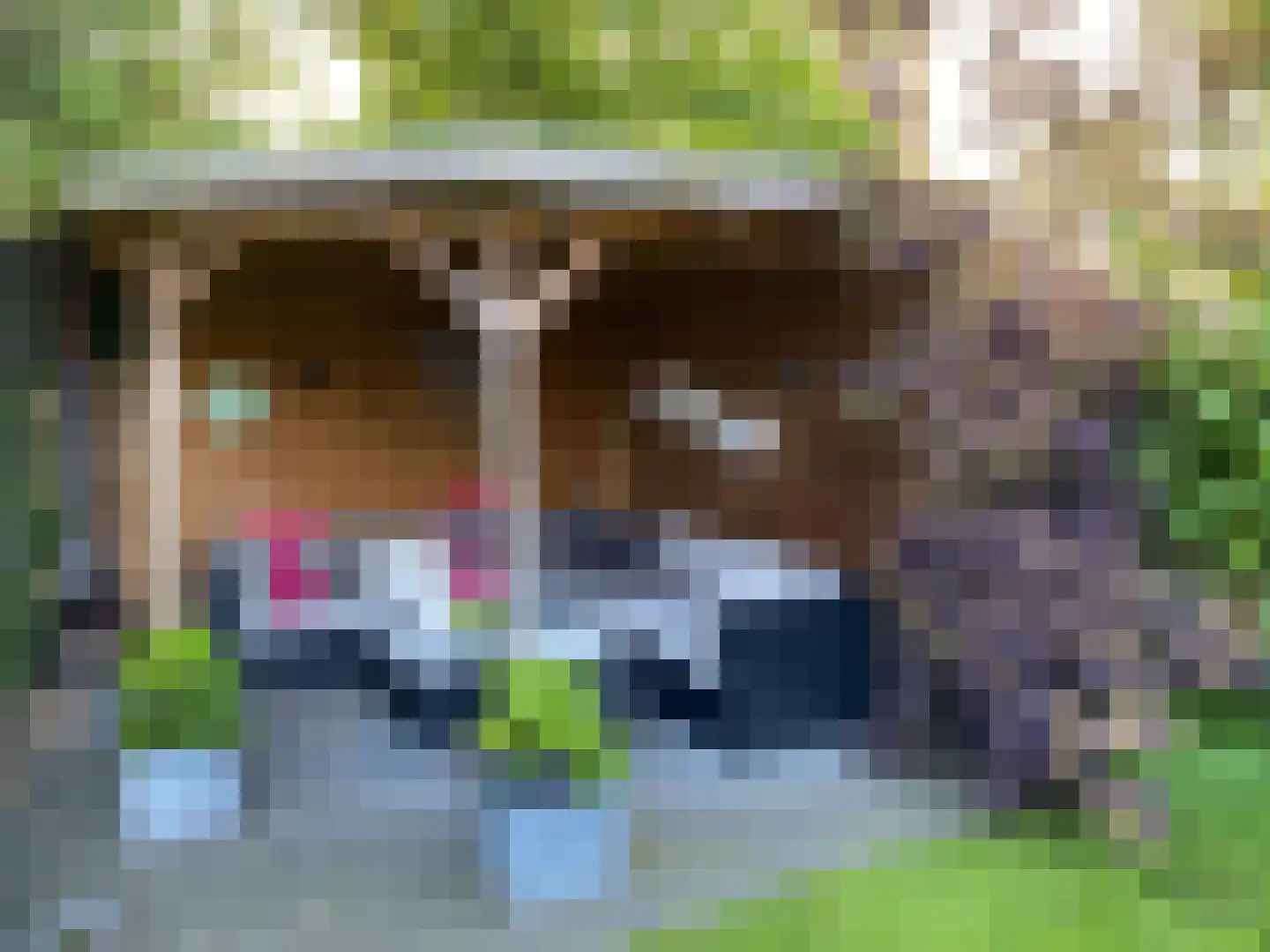 Driehuizerweg 10 Apeldoorn thumbnail 39