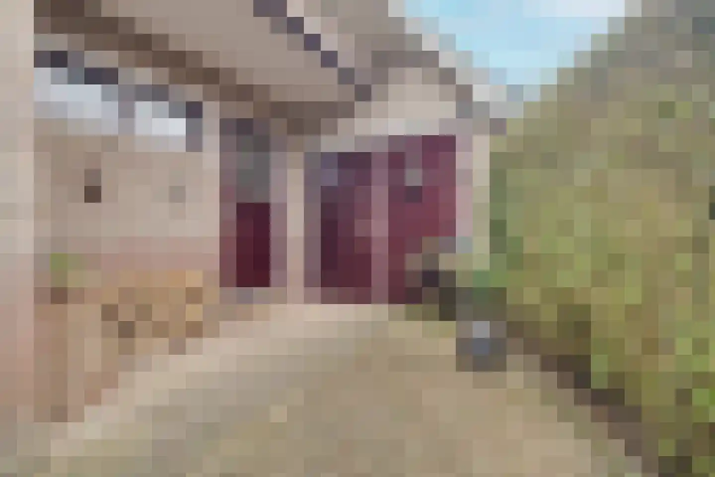 Driehuizerweg 10 Apeldoorn thumbnail 40