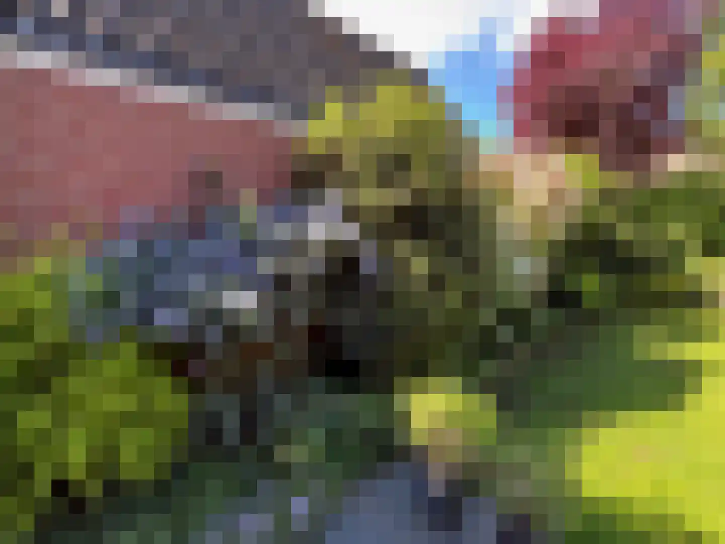 Driehuizerweg 10 Apeldoorn thumbnail 41