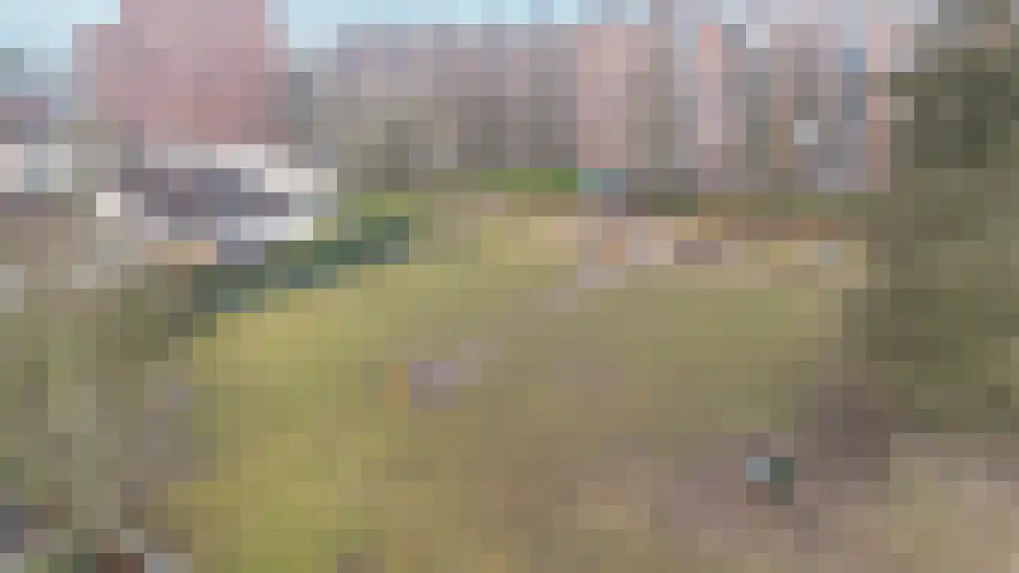 Driehuizerweg 10 Apeldoorn thumbnail 48