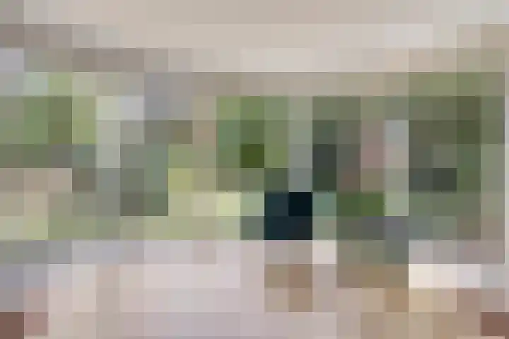 Driehuizerweg 10 Reek thumbnail 10