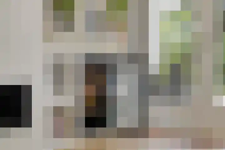 Driehuizerweg 10 Reek thumbnail 16