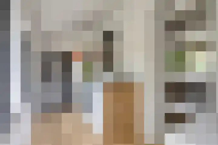 Driehuizerweg 10 Reek thumbnail 20