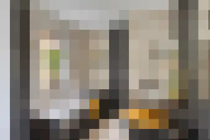 Driehuizerweg 10 Reek thumbnail 23