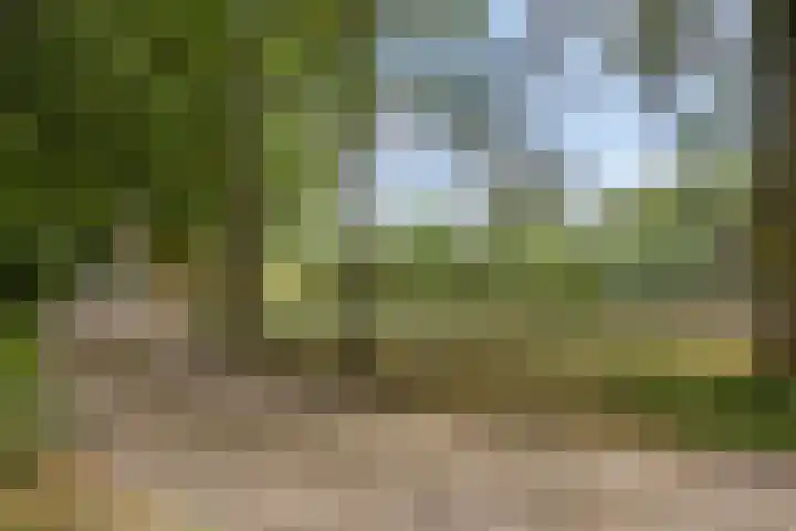 Driehuizerweg 10 Reek thumbnail 33