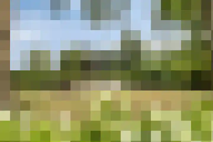 Driehuizerweg 10 Reek thumbnail 34