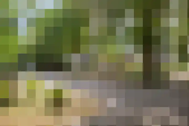 Driehuizerweg 10 Reek thumbnail 35