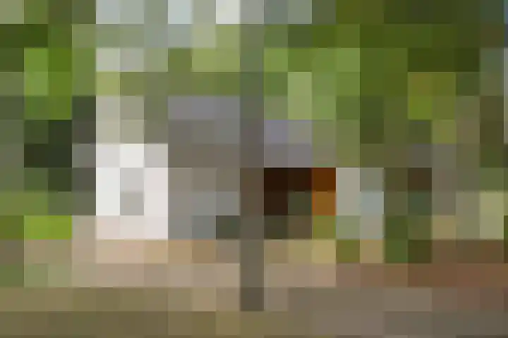 Driehuizerweg 10 Reek thumbnail 4