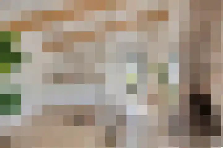 Driehuizerweg 10 Reek thumbnail 43