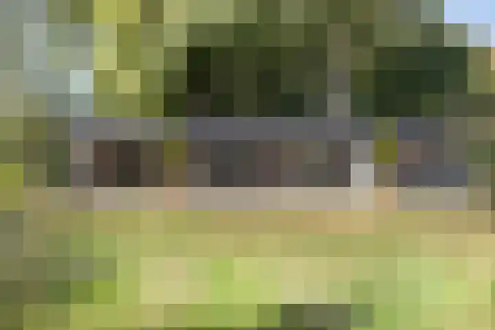 Driehuizerweg 10 Reek thumbnail 47