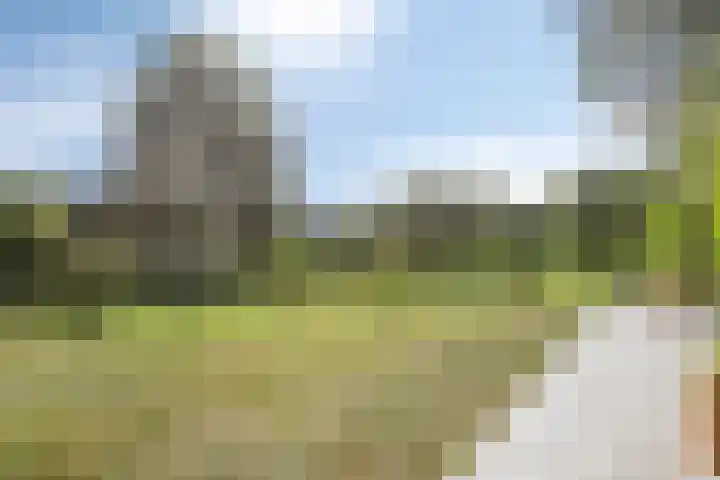 Driehuizerweg 10 Reek thumbnail 48