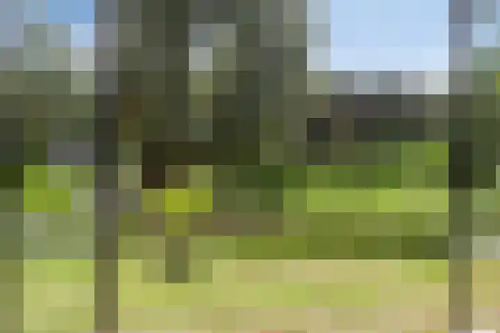 Driehuizerweg 10 Reek thumbnail 49