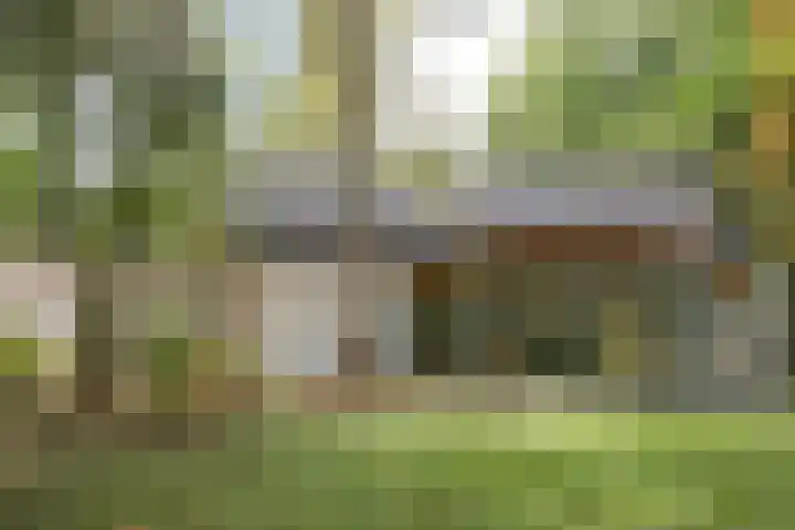 Driehuizerweg 10 Reek thumbnail 5