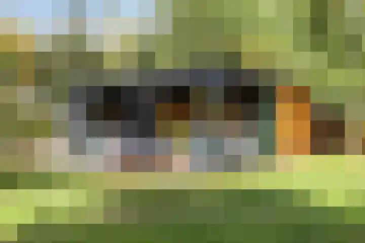 Driehuizerweg 10 Reek thumbnail 56