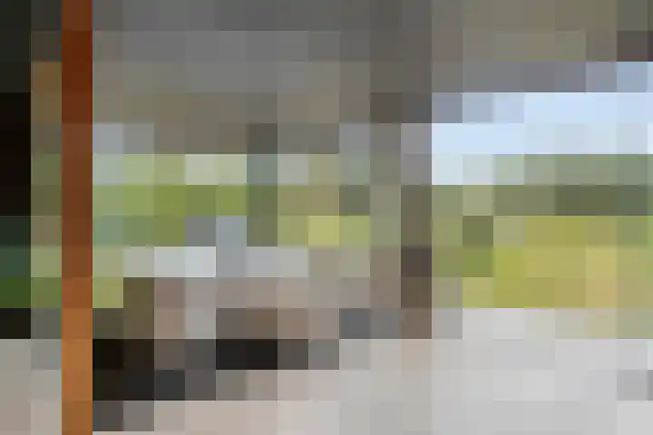 Driehuizerweg 10 Reek thumbnail 58