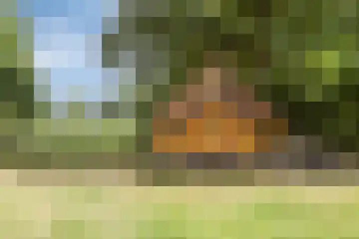Driehuizerweg 10 Reek thumbnail 63