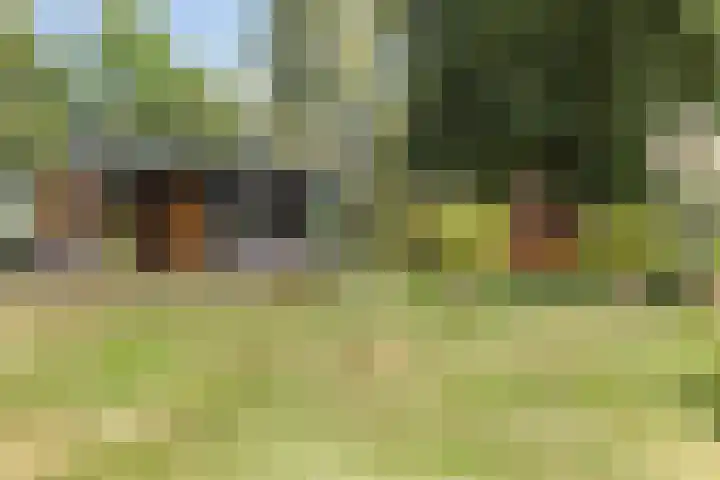Driehuizerweg 10 Reek thumbnail 66