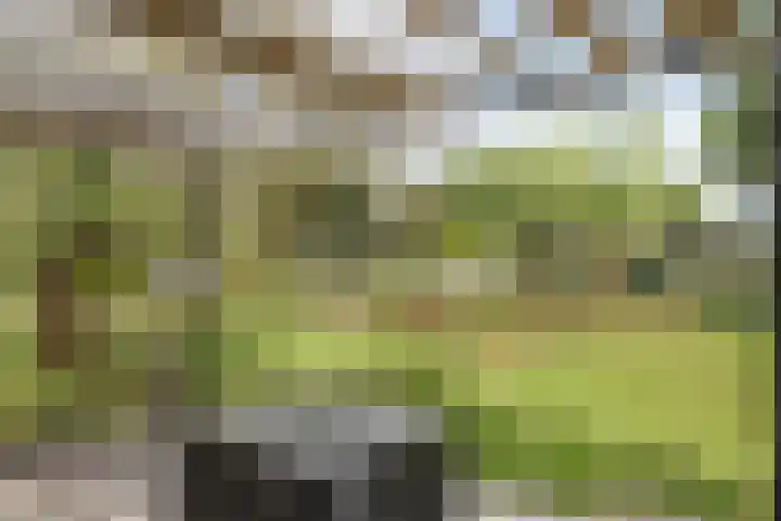 Driehuizerweg 10 Reek thumbnail 67