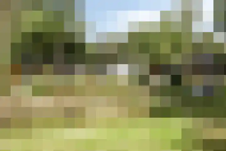 Driehuizerweg 10 Reek thumbnail 68